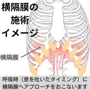 横隔膜の整体